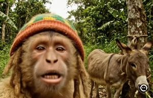 Jah Monkey